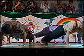 124.jpg