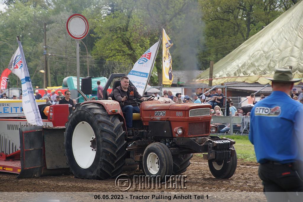 137.jpg